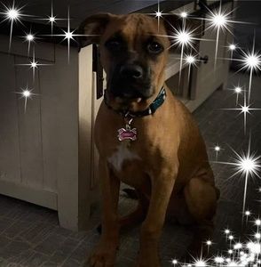 Meet your Posher, Saleshni